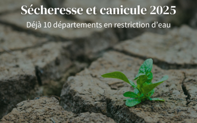 Sécheresse et canicule 2025