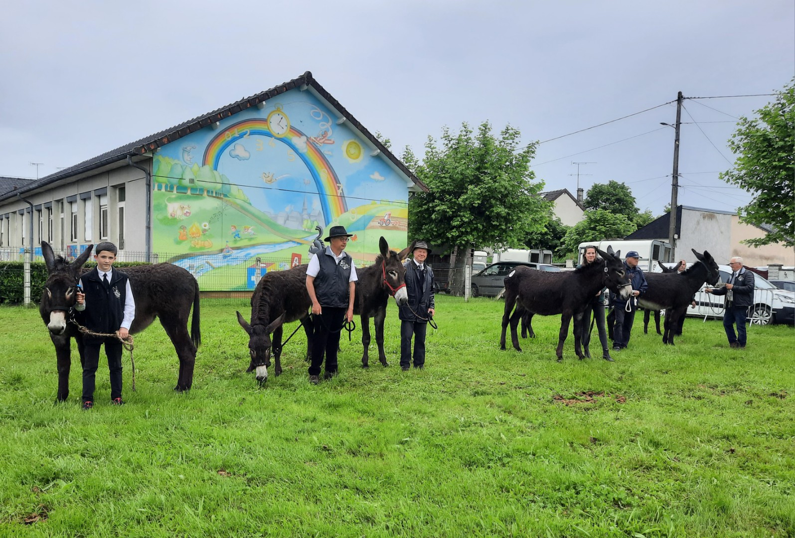 Foire aux ânes de Lignières : les 30 ans de la race âne Grand Noir du Berry