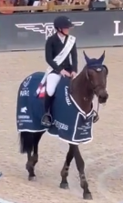 L'élevage breton au plus haut niveau : Dexter de Kerglenn Triomphe au Paris Eiffel Jumping ! 🏆