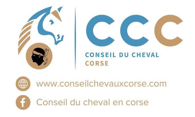 Conseil d'Administration du Conseil du cheval en Corse, Madrague, Borgo
