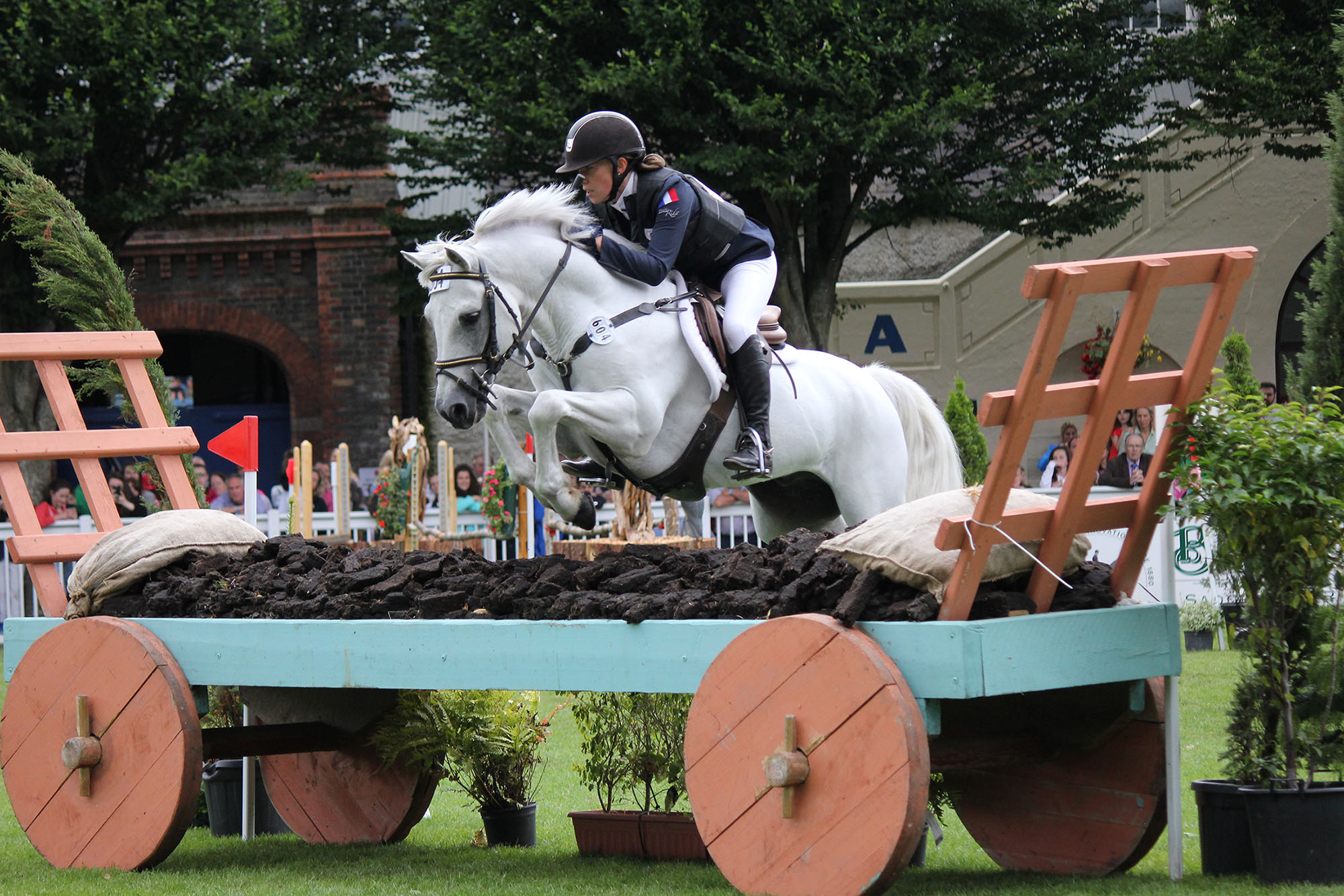 Conseil du Cheval AURA concours