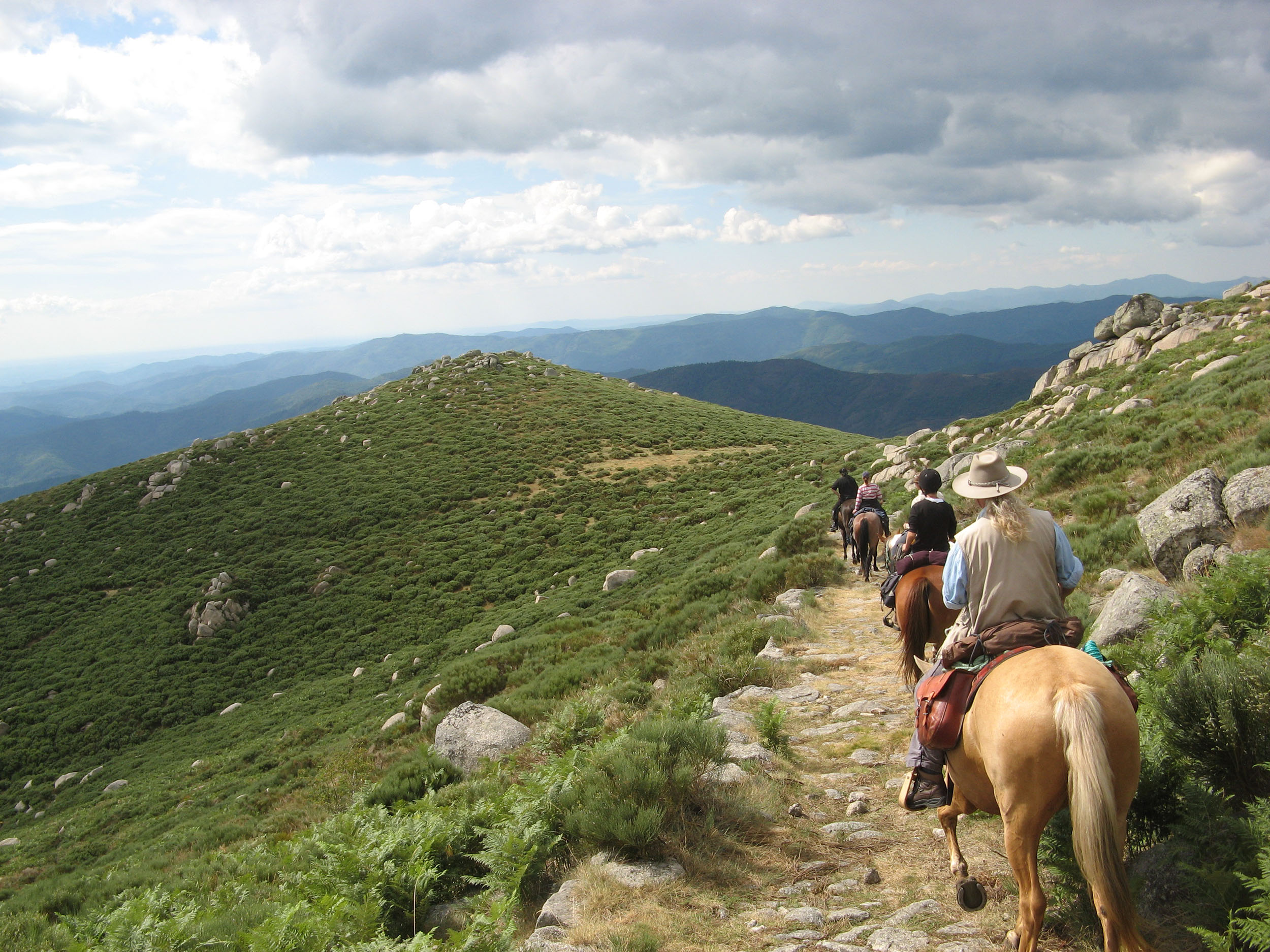 Conseil du Cheval AURA Tourisme