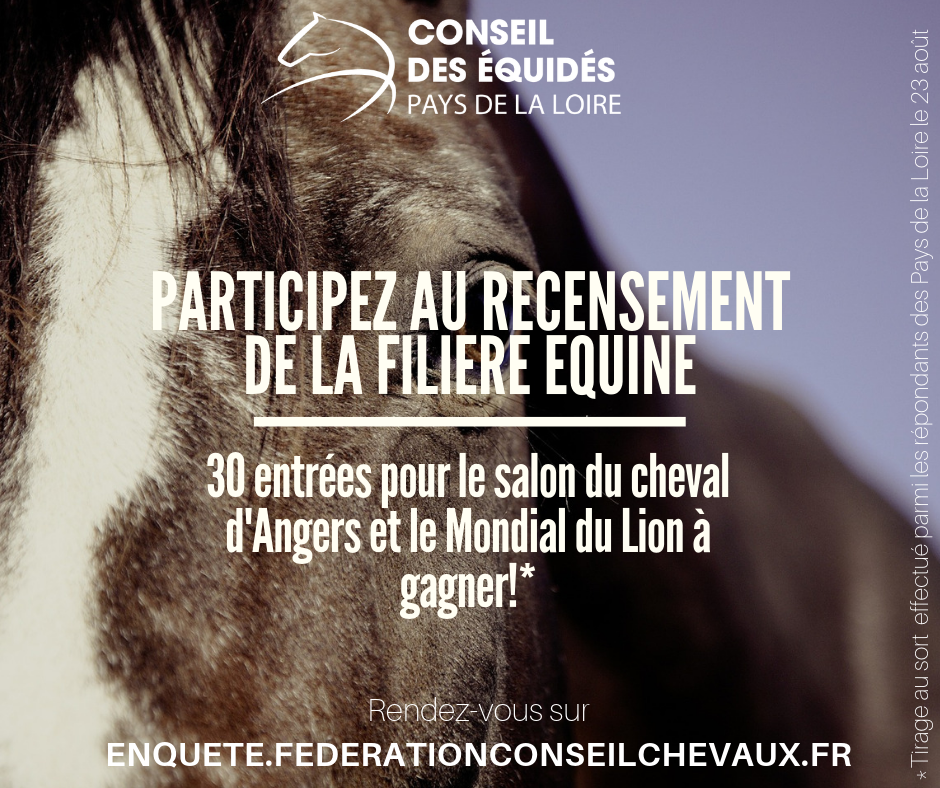 Tous Les Evenements Federation Nationale Des Conseils Des Chevaux